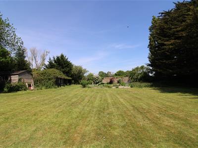 Picture 19